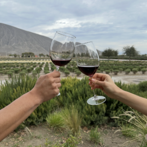 Experiencia Crea tu Propio Vino